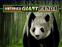 Онлайн автомат Untamed Giant Panda