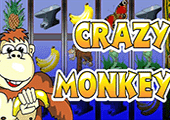 Crazy Monkey game